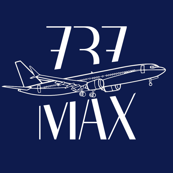 Boeing 737 MAX Flugsimulator